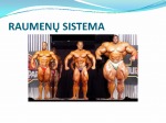 Raumenų sistema skaidrės 2