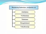 Raumenų sistema skaidrės 3