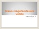 Mano mėgstamiausia veikla Krepšinis