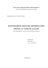 Konteinerinių krovinių ekspedijavimo įmonės „x“ veiklos analizė 1