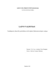 Naudingiausio jūrų kelio pasirinkimas atsižvelgiant į hidrometereologines sąlygas 1