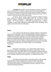 Laivų vidaus degimo variklių gamintojai 2