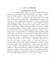 Laivo antstato patalpos 2