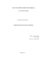 Laivo hidrometeorologinis reiso aprūpinimas 1