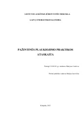 Plaukiojimo praktikos ataskaita 1