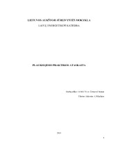 Jūrinio laivo plaukiojimo praktikos ataskaita 1