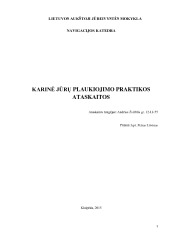 Karinės jūrų pajėgos: praktikos ataskaita 1