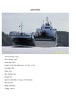 Laivų agentavimas, laivo rinkliava