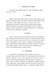 Pagrindinės laivo savybės 3