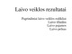 Laivo veiklos rezultatai