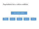 Laivo veiklos rezultatai 2