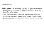Laivo veiklos rezultatai 3