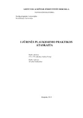 Jūrinės plaukiojimo praktikos ataskaita 1
