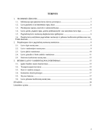 Laivų konceptualus projektavimas 2