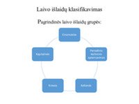 Laivo išlaidos skaidrės 2