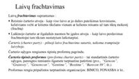 Frachto rinka 2
