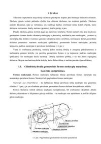 Laivų energetinių įrenginių techninis aptarnavimas ir remontas 2