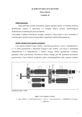Alternatyvios laivų jėgainės 1