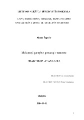 Laivų remontas praktikos ataskaita 1