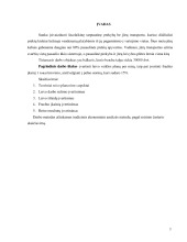 Laivo reiso efektyvumo analizė 2