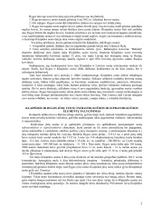 Klaipėdos ir Rygos uostų krovos mažėjimo ir didėjimo priežastys 2