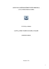Laivo kuro sanaudų analizė 1