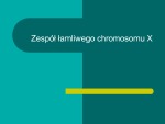 Zespół łamliwego chromosomu X 1