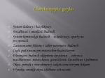 Sztuka polski 3