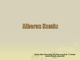 Albero Kamiu biografija ir kūryba skaidrės