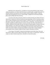 Palieku vaikystės šalį rašinys (2) 1