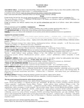 Kaip rašyti literatūrinį rašinį pavyzdys 1