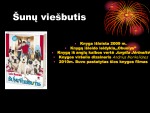 Knygos pristatymas „Šunų viešbutis“ 2
