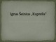 Ignas Šeinius „Kuprelis“ skaidrės