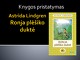 Ronja plėšiko duktė skaidrės