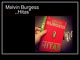 Knygos skaidrės Melvin Burgess Hitas