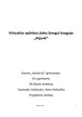 Virtualios aplinkos įtaka žmogui knygoje „ Atjunk “