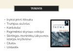 Antanas Garšva Bavarijos epizode: modernaus kūrėjo kelio pasirinkimas (14 skyriaus analizė) 2