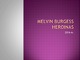 Melvin Burgess knygos Heroinas pristatymas 
