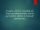 Knygos „Mano virtualieji aš Kaip socialiniai tinklai keičia gyvenimą, darbą ir pasaulį” pristatymas