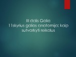 Knygos „Mano virtualieji aš Kaip socialiniai tinklai keičia gyvenimą, darbą ir pasaulį” pristatymas 2
