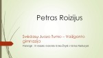 Petras Roizijus projektas 1