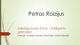 Petras Roizijus projektas 