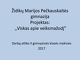 Viskas apie veiksmažodį