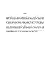 Rašto istorija referatas 1