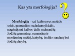 Morfologijos variantai 2