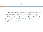 Vientisinio sakinio skyryba 3