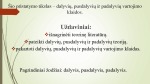 Dalyvių pusdalyvių ir padalyvių vartojimas 2