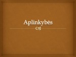 Sakinio dalys - Aplinkybės 1