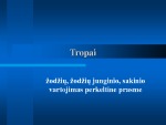 Tropai Žodžių, žodžių junginio, sakinio vartojimas perkeltine prasme 1