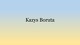Kazys Boruta projektas (3)